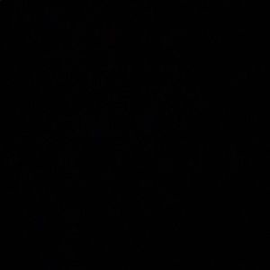 Meet your Posher, Jordon